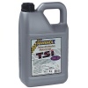 Масло RAVENOL TSI 10W-40 5л